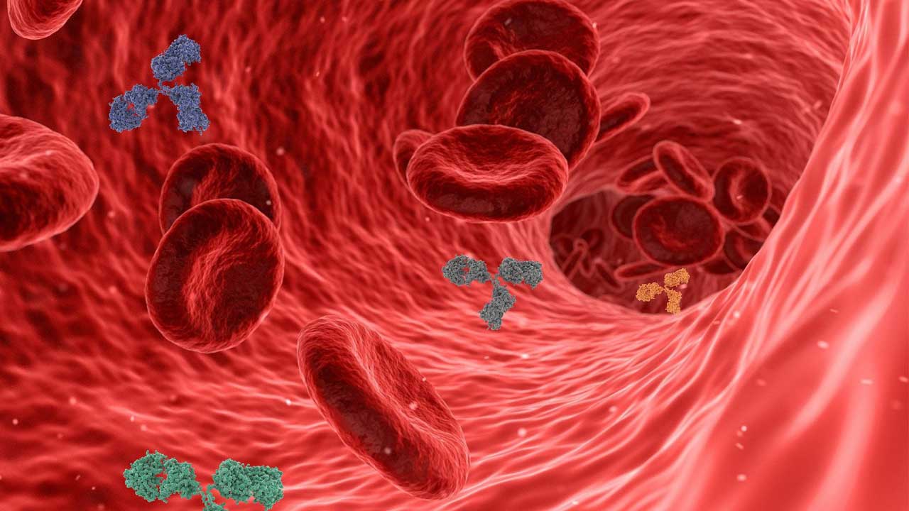 The Superiority of Natural Immunity to SARS-CoV-2 140 Artistic rendering of antibodies in the bloodstream (image by swiftsciencewriting, licensed under Pixabay license)