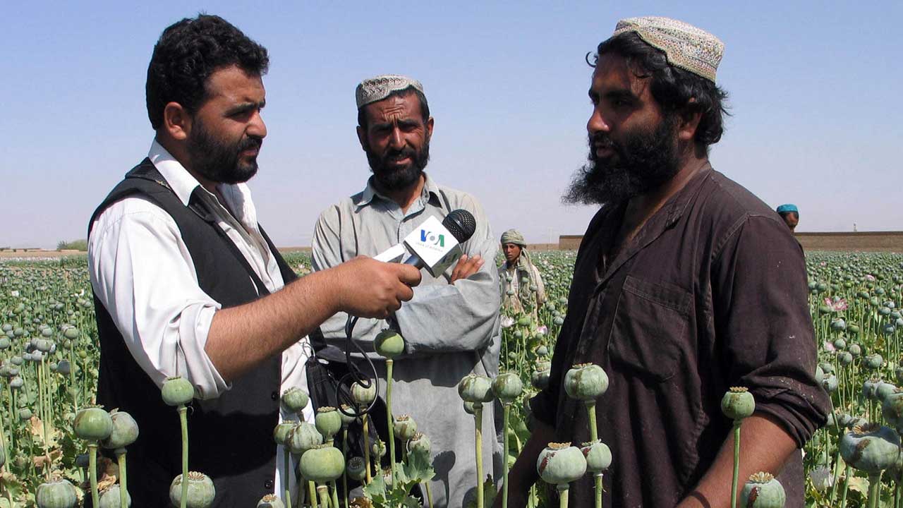 The US War in Afghanistan 89 VOA reporter interviewing Afghan poppy cultivators. (VOA/public domain)