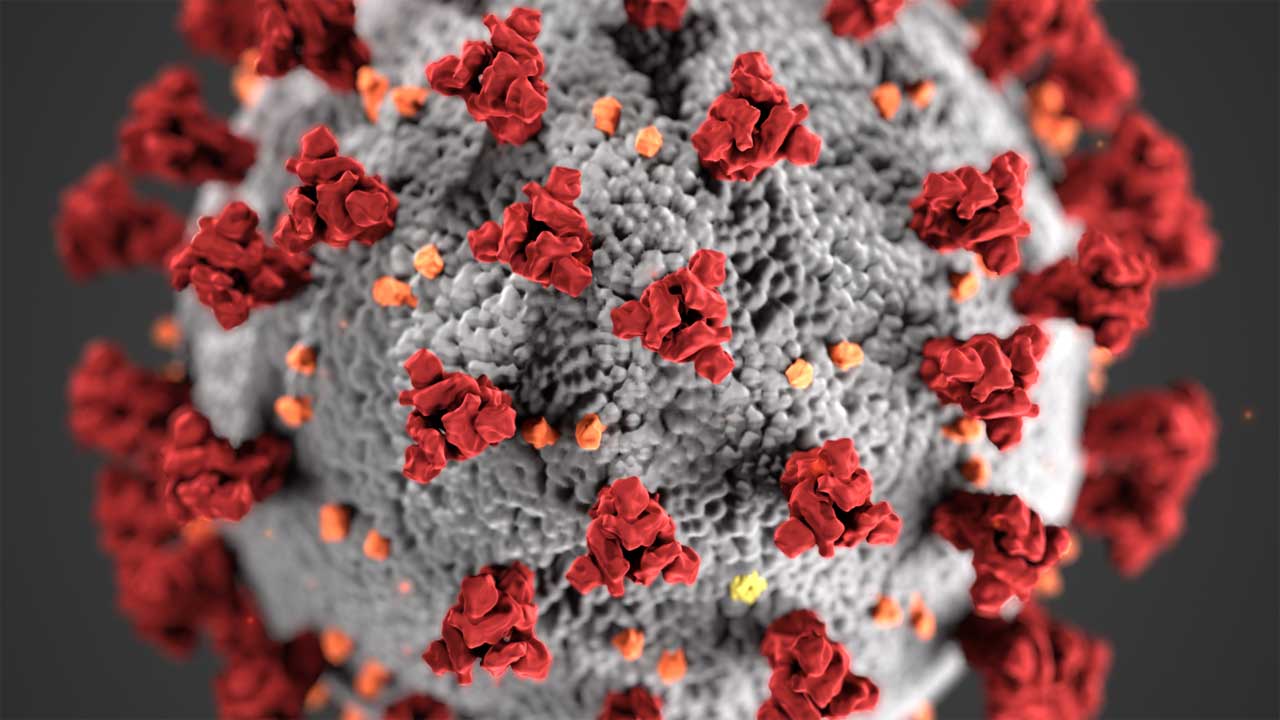 The Superiority of Natural Immunity to SARS-CoV-2 151 Coronavirus (Image: US Department of State/Public Domain)